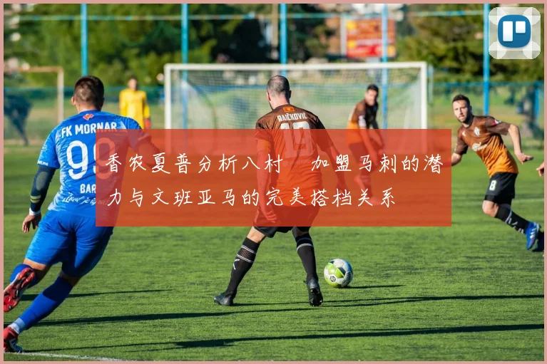 香农夏普分析八村塁加盟马刺的潜力与文班亚马的完美搭档关系